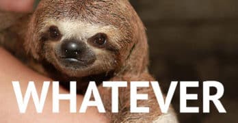 Inner Peace: A Guide to Letting Go and Finding Inner Joy in 5 Steps