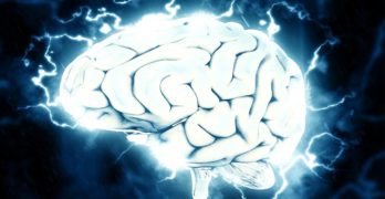 Brain Food: These 10 Nootropic Foods Are Awesome Brain Boosters