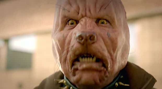 Die Antwoord Pitbull