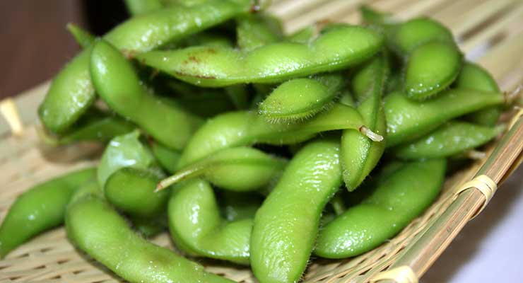 Monsanto GMO Soybeans Roundup Xtend