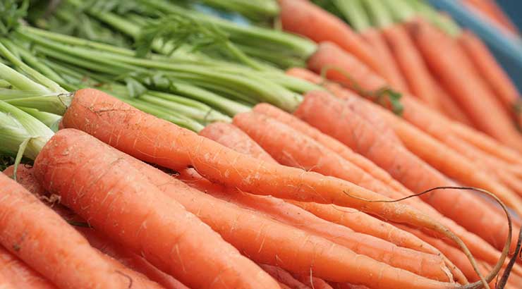 Carrots