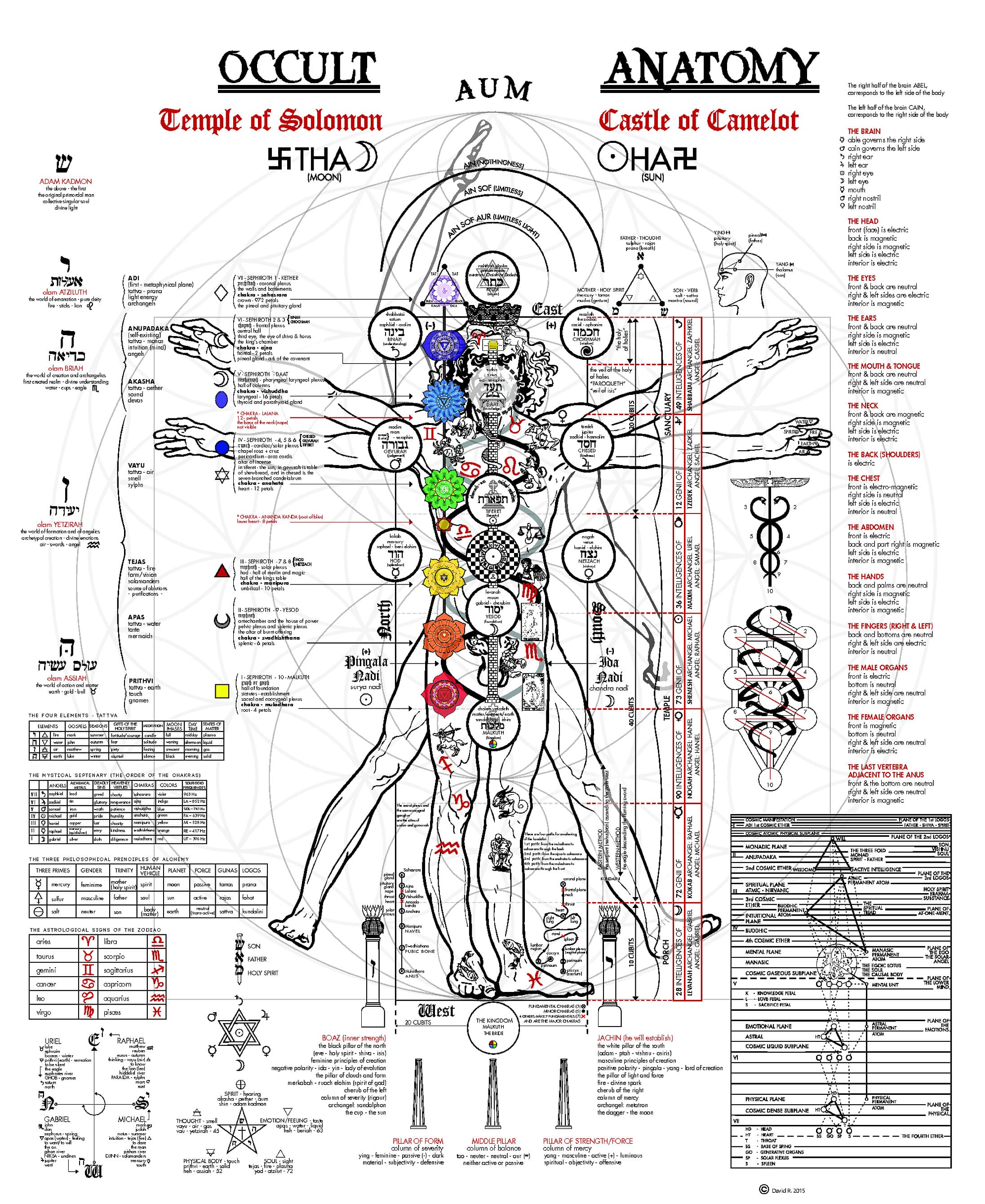 Occult Anatomy