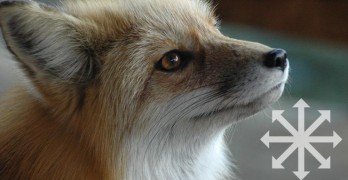 5 Trickster Gods That Caused Total Chaos (and Got Away With It!)