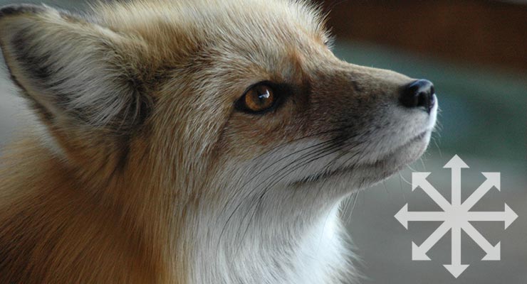 Kumiho Trickster God Chaos